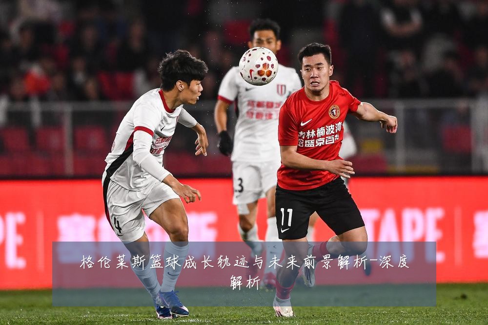 格伦莱斯篮球成长轨迹与未来前景解析-深度解析