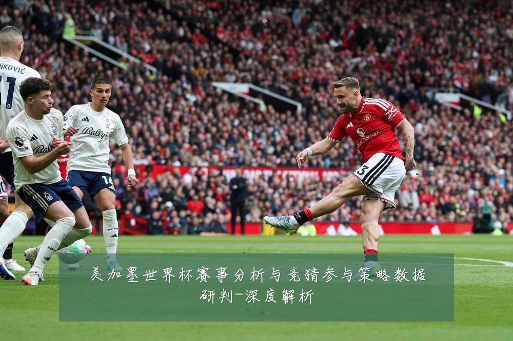 美加墨世界杯赛事分析与竞猜参与策略数据研判-深度解析
